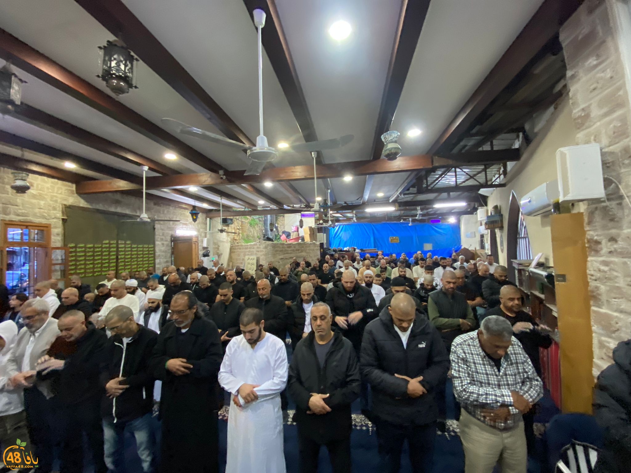 WhatsApp Image 2024-04-10 at 6.44.55 AM.jpeg